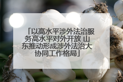 以高水平涉外法治服务高水平对外开放 山东推动形成涉外法治大协同工作格局