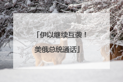 伊以继续互袭！美俄总统通话