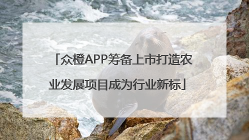 众橙APP筹备上市打造农业发展项目成为行业新标