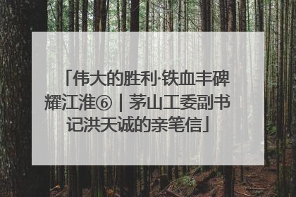 伟大的胜利·铁血丰碑耀江淮⑥｜茅山工委副书记洪天诚的亲笔信