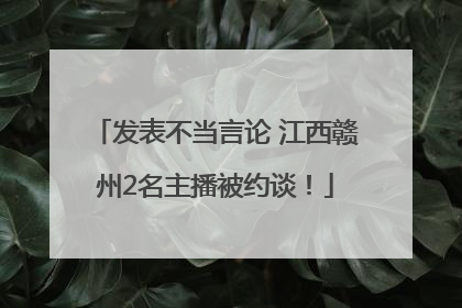 发表不当言论 江西赣州2名主播被约谈！