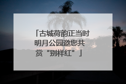 古城荷韵正当时 明月公园邀您共赏“别样红”