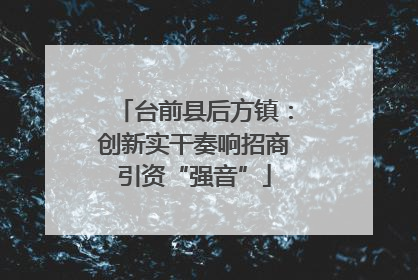 台前县后方镇：创新实干奏响招商引资“强音”