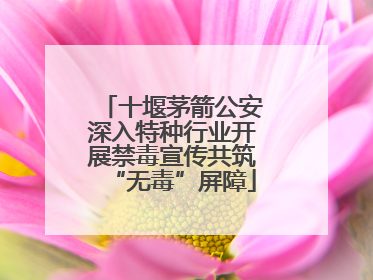 十堰茅箭公安深入特种行业开展禁毒宣传共筑“无毒”屏障