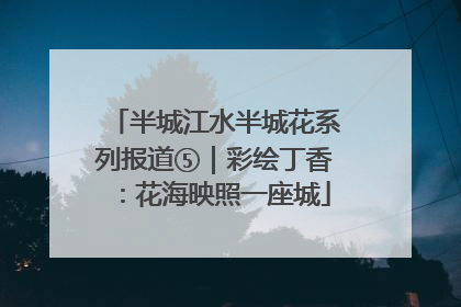 半城江水半城花系列报道⑤｜彩绘丁香：花海映照一座城