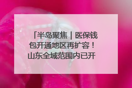 半岛聚焦｜医保钱包开通地区再扩容！山东全域范围内已开通，有何用处？如何操作？速戳→