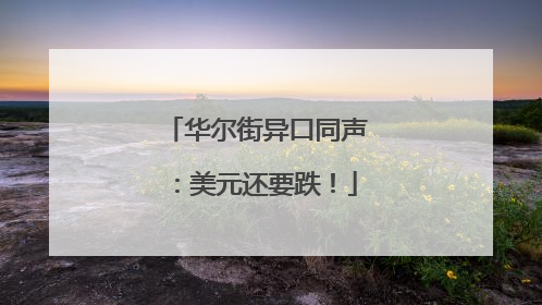 华尔街异口同声：美元还要跌！
