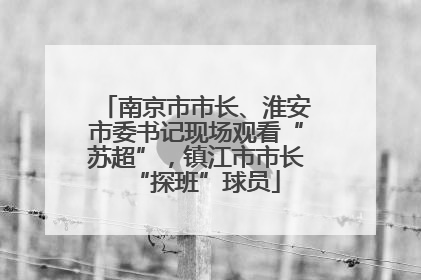 南京市市长、淮安市委书记现场观看“苏超”，镇江市市长“探班”球员