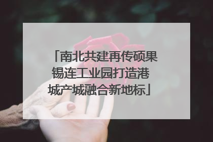 南北共建再传硕果 锡连工业园打造港城产城融合新地标