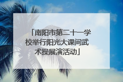 南阳市第二十一学校举行阳光大课间武术操展演活动