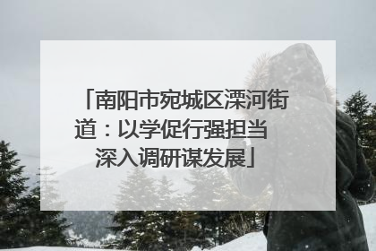 南阳市宛城区溧河街道：以学促行强担当 深入调研谋发展