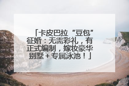 卡皮巴拉“豆包”征婚：无需彩礼，有正式编制，嫁妆豪华别墅＋专属泳池！