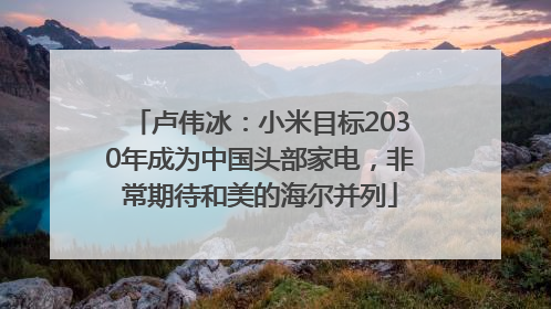 卢伟冰：小米目标2030年成为中国头部家电，非常期待和美的海尔并列