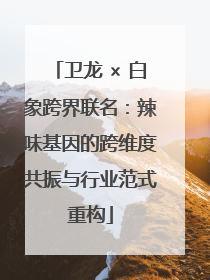 卫龙 × 白象跨界联名：辣味基因的跨维度共振与行业范式重构