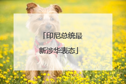印尼总统最新涉华表态