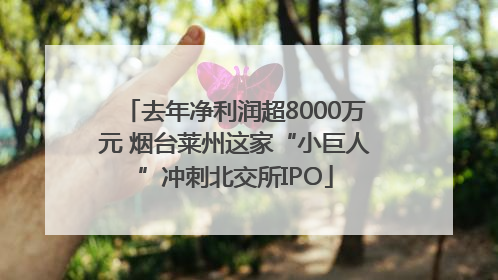 去年净利润超8000万元 烟台莱州这家“小巨人”冲刺北交所IPO
