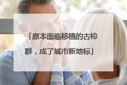 原本面临移植的古樟群，成了城市新地标