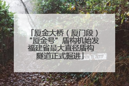 厦金大桥（厦门段）“厦金号”盾构机始发 福建省最大直径盾构隧道正式掘进
