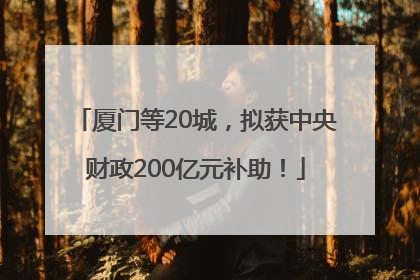 厦门等20城，拟获中央财政200亿元补助！