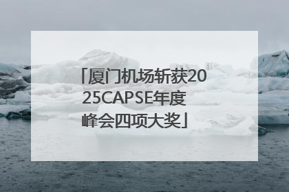 厦门机场斩获2025CAPSE年度峰会四项大奖