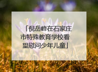 倪岳峰在石家庄市特殊教育学校看望慰问少年儿童
