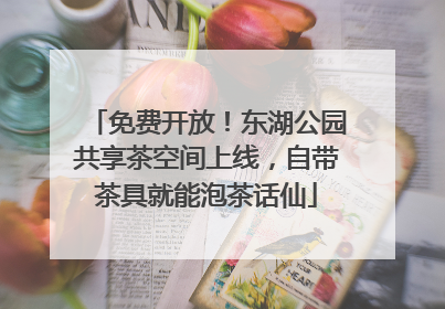 免费开放！东湖公园共享茶空间上线，自带茶具就能泡茶话仙