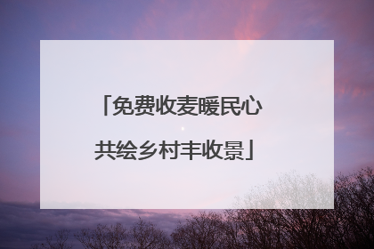 免费收麦暖民心 共绘乡村丰收景