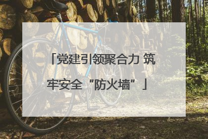 党建引领聚合力 筑牢安全“防火墙”