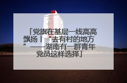 党旗在基层一线高高飘扬丨“去有村的地方”——湖南有一群青年党员这样选择