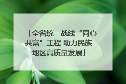 全省统一战线“同心共富”工程 助力民族地区高质量发展