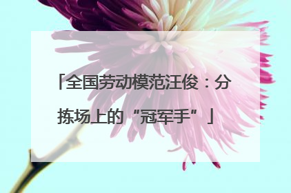 全国劳动模范汪俊：分拣场上的“冠军手”