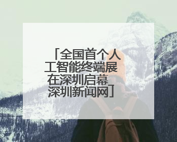 全国首个人工智能终端展在深圳启幕_深圳新闻网