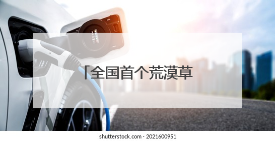 全国首个荒漠草原“草光互补”项目在达茂旗试点