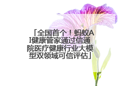全国首个！蚂蚁AI健康管家通过信通院医疗健康行业大模型双领域可信评估