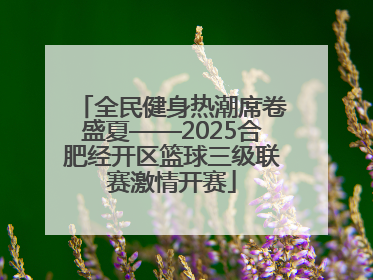 全民健身热潮席卷盛夏——2025合肥经开区篮球三级联赛激情开赛