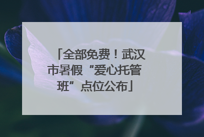 全部免费！武汉市暑假“爱心托管班”点位公布