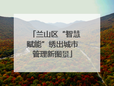 兰山区“智慧赋能”绣出城市管理新图景