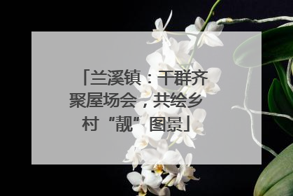兰溪镇：干群齐聚屋场会，共绘乡村“靓”图景