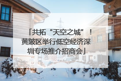 共拓“天空之城”！黄陂区举行低空经济深圳专场推介招商会