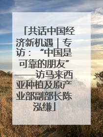 共话中国经济新机遇｜专访：“中国是可靠的朋友”——访马来西亚种植及原产业部副部长陈泓缣