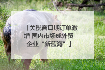 关税窗口期订单激增 国内市场成外贸企业“新蓝海”