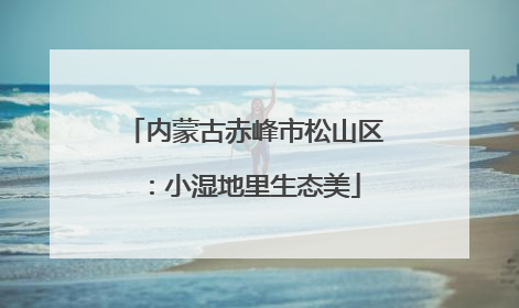 内蒙古赤峰市松山区：小湿地里生态美