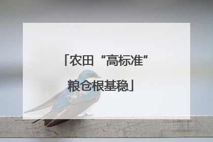 农田“高标准” 粮仓根基稳