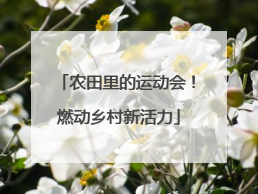农田里的运动会！燃动乡村新活力