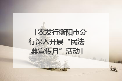 农发行衡阳市分行深入开展“民法典宣传月”活动