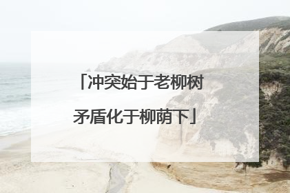 冲突始于老柳树 矛盾化于柳荫下