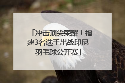 冲击顶尖荣耀！福建3名选手出战印尼羽毛球公开赛