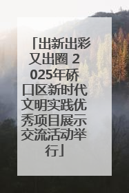 出新出彩又出圈 2025年硚口区新时代文明实践优秀项目展示交流活动举行