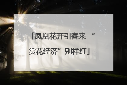 凤凰花开引客来 “赏花经济”别样红