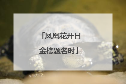 凤凰花开日 金榜题名时